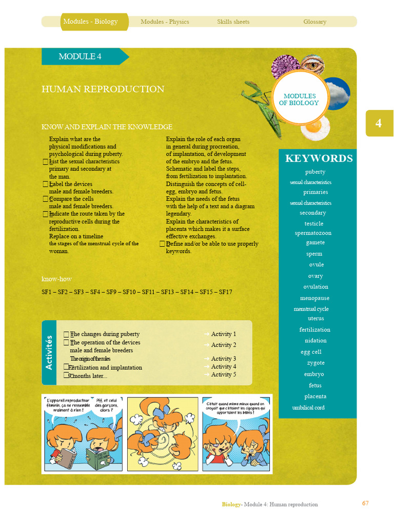 Human Reproduction: Biology Module 4 | PDF | Menstrual Cycle | Human ...