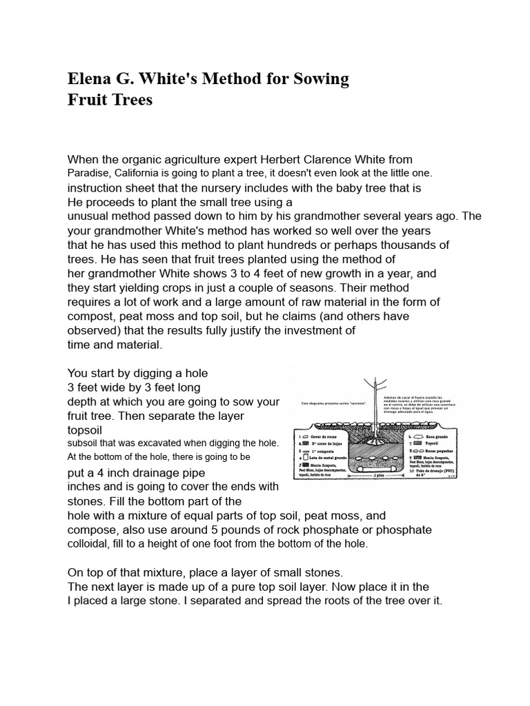 Method_Elena_White_for_sowing.pdf | PDF | Peach | Topsoil