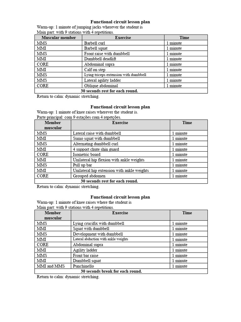Functional Circuit Workout Plan | PDF | Human Leg | Anatomical Terms Of ...