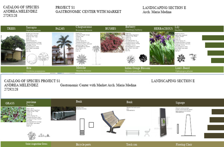 Landscaping Catalog | PDF | Branches Of Botany | Botany