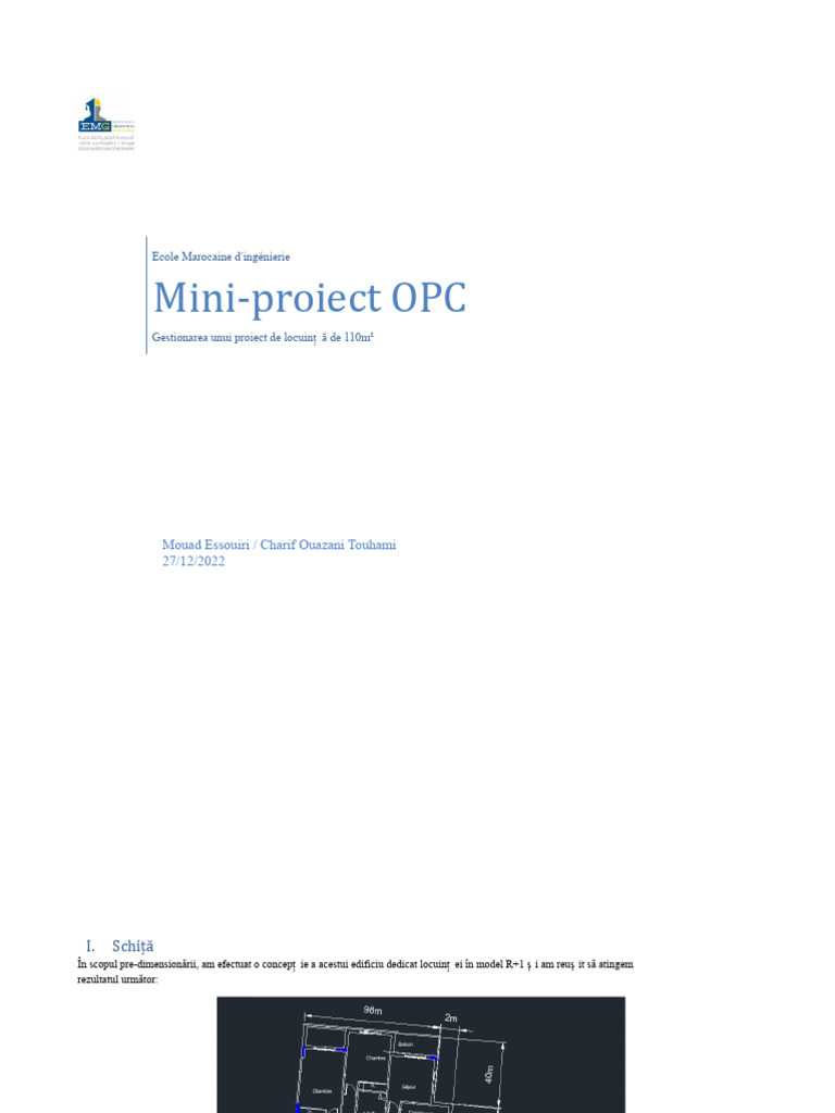 Raport OPC | PDF