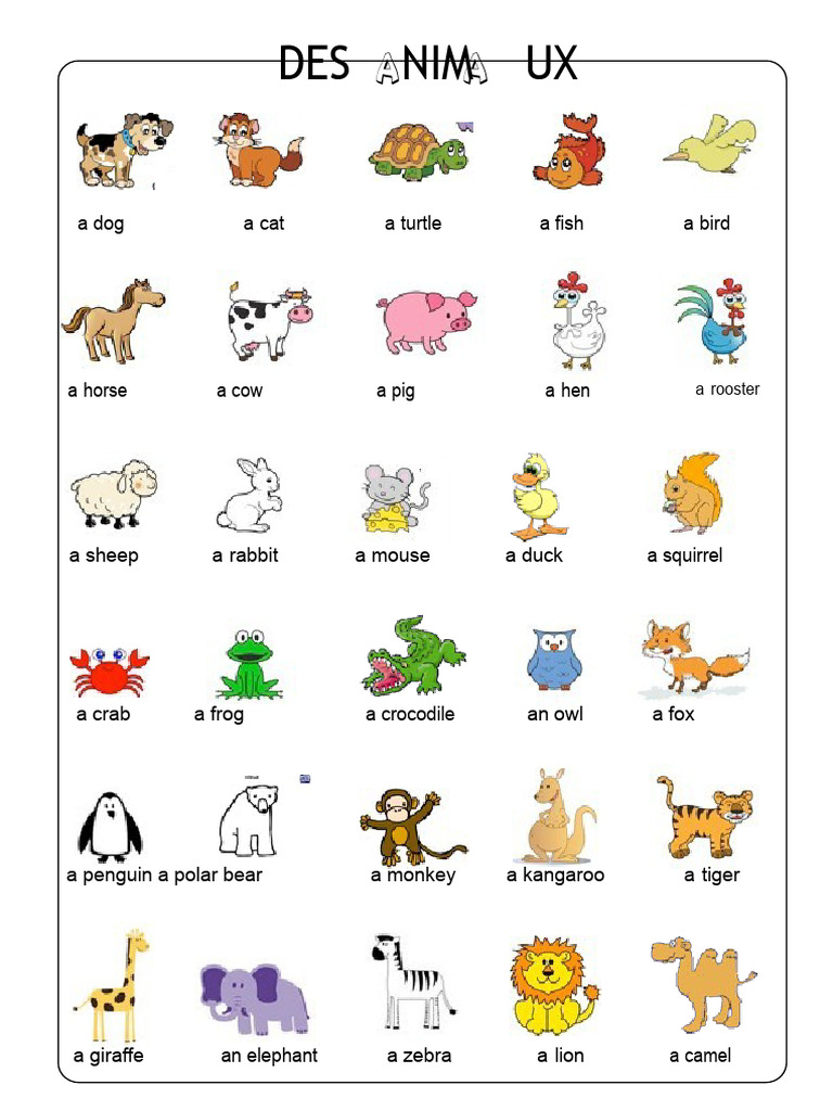 The Animals Educational Sheet - 115712 | PDF