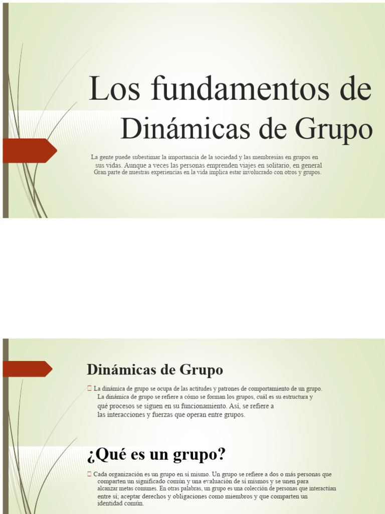 Fundamentos de Dinámicas de Grupo | PDF | Comportamiento | Ciencias del ...