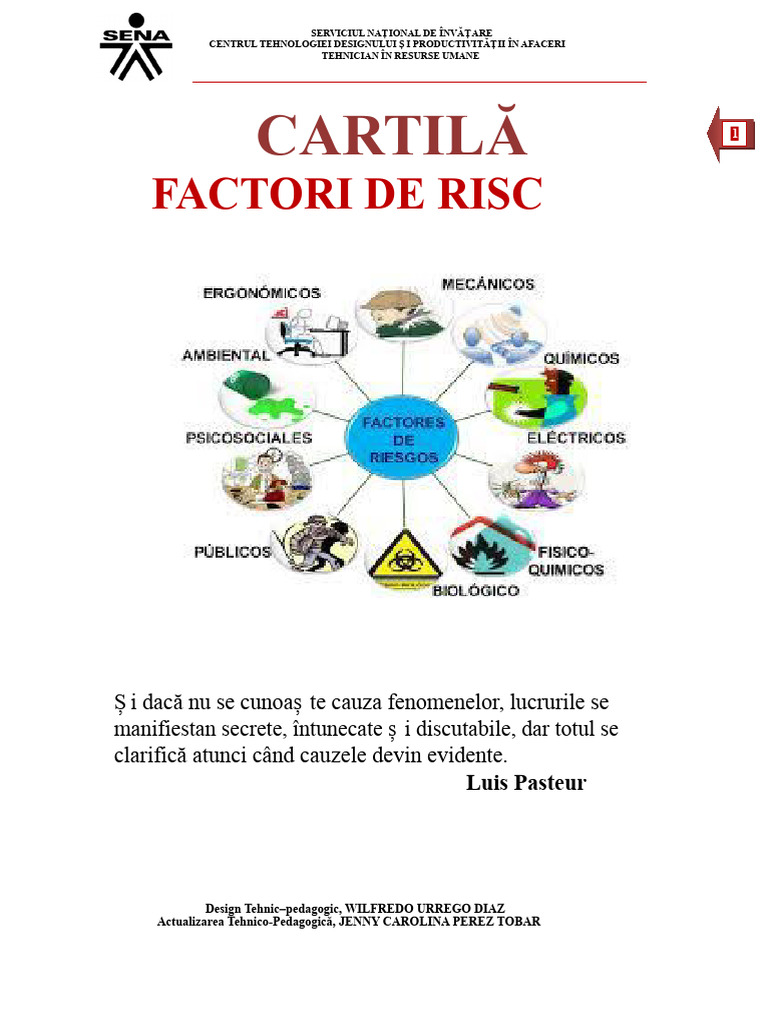 Caiet de Sarcini Factori de Risc | PDF