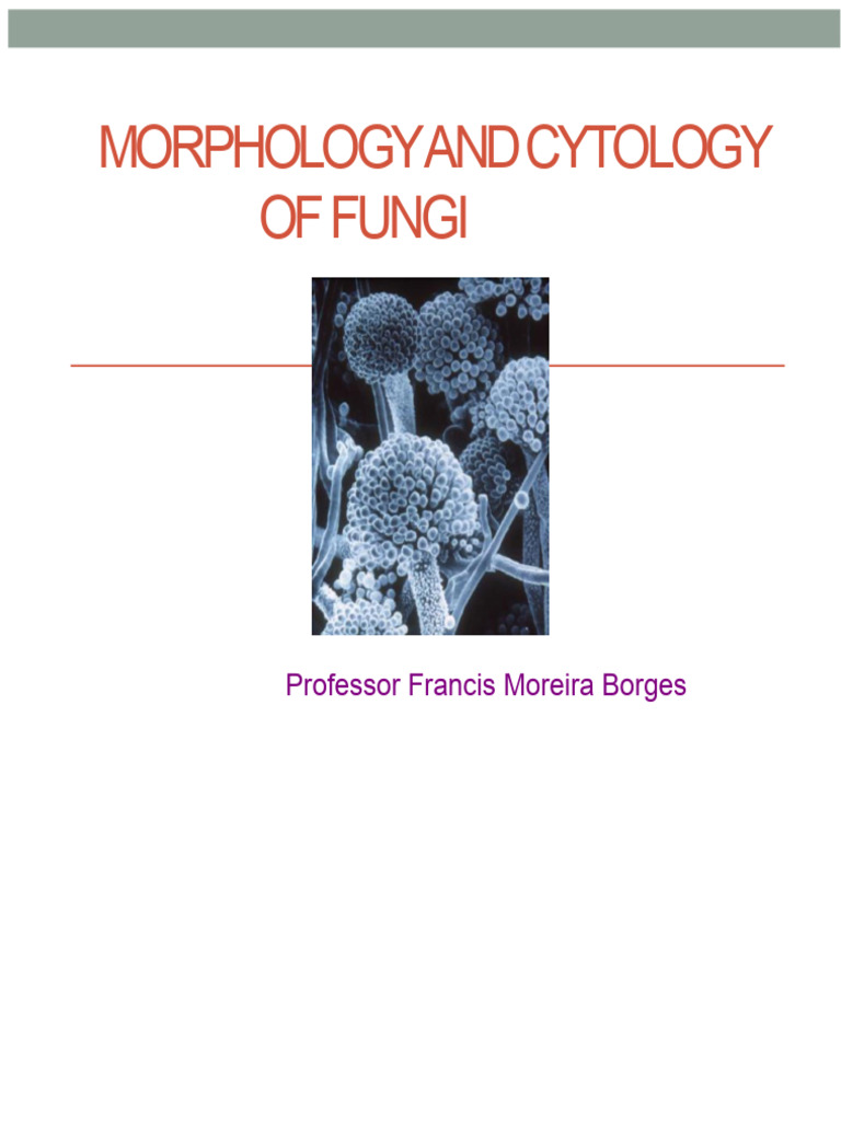 Morphology and Cytology of Fungi | PDF | Cell (Biology) | Fungus