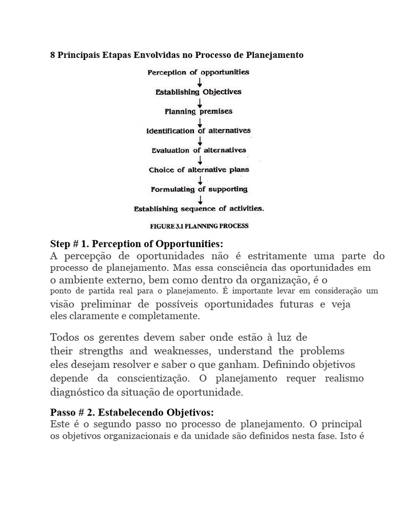 8 Etapas do Planejamento Estratégico | PDF | Planejamento