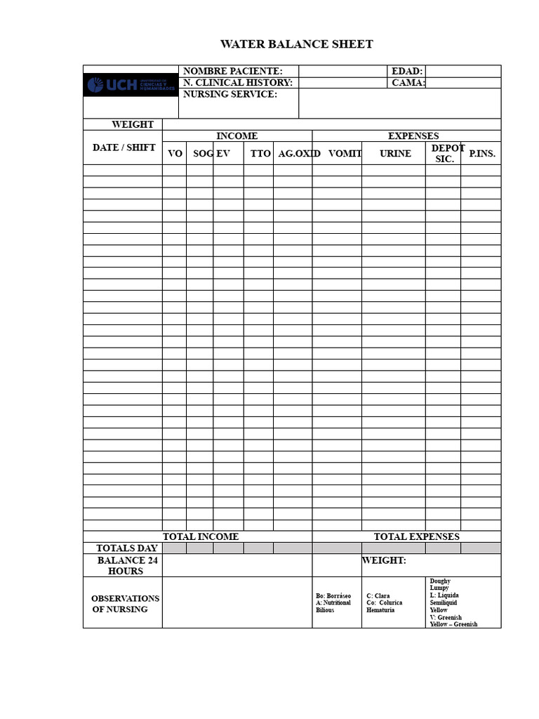 Water Balance Sheet for Patient Care | PDF