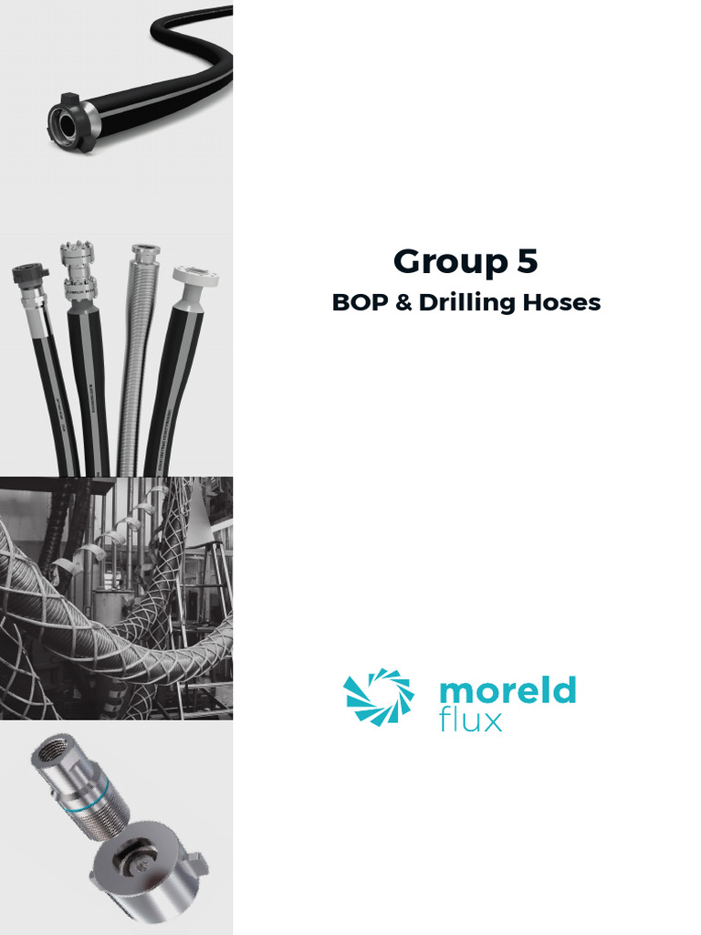 BOP & Drilling Hoses Overview | PDF | Blowout (Well Drilling) | Textiles