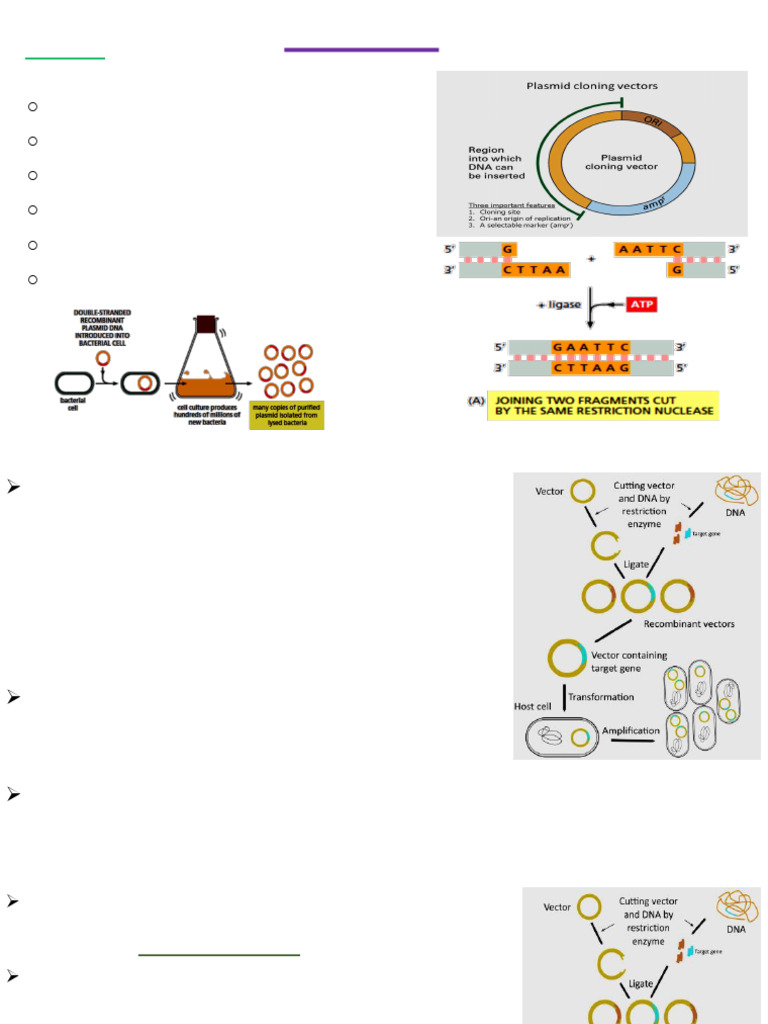 Introduction to Recombinant DNA Technology | PDF | Molecular Cloning ...