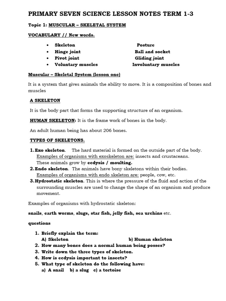 p7-science-lesson-notes | PDF | Magnet | Lever
