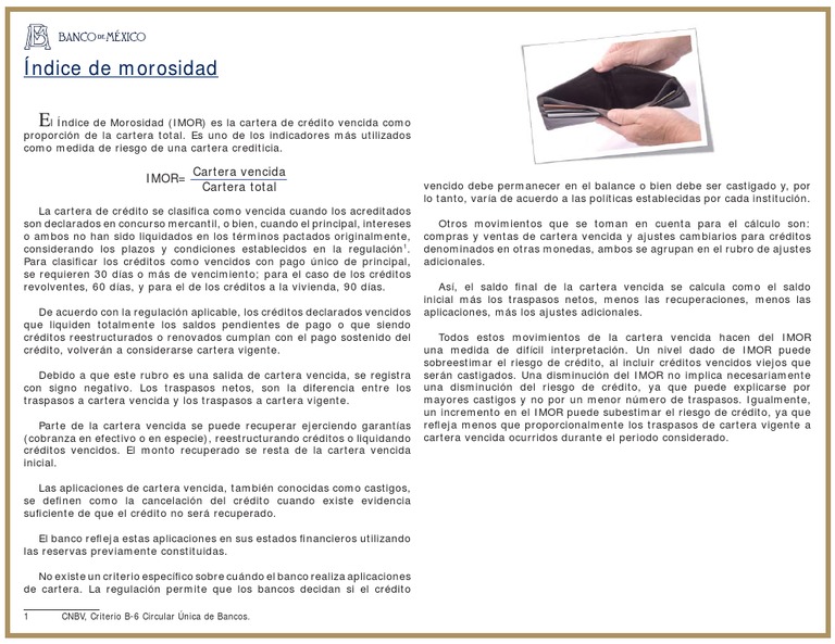 Cálculo y Análisis del Índice de Morosidad | PDF | Crédito (finanzas ...