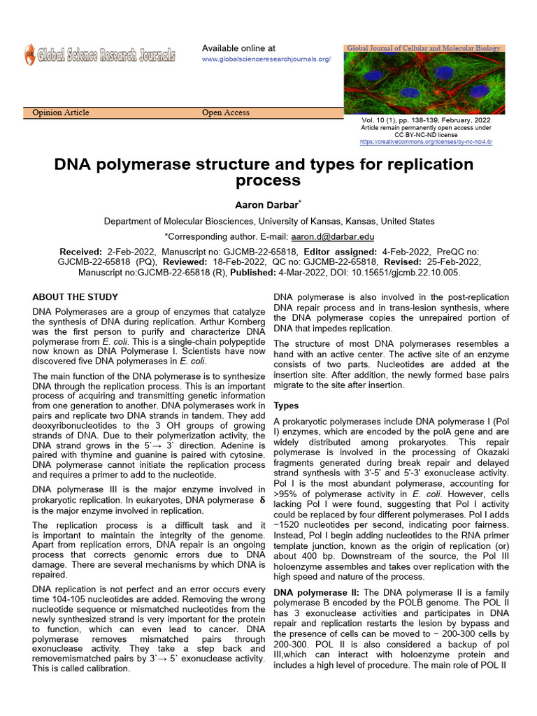 Dna Polymerase Structure and Types for Replication Process | PDF | Dna ...