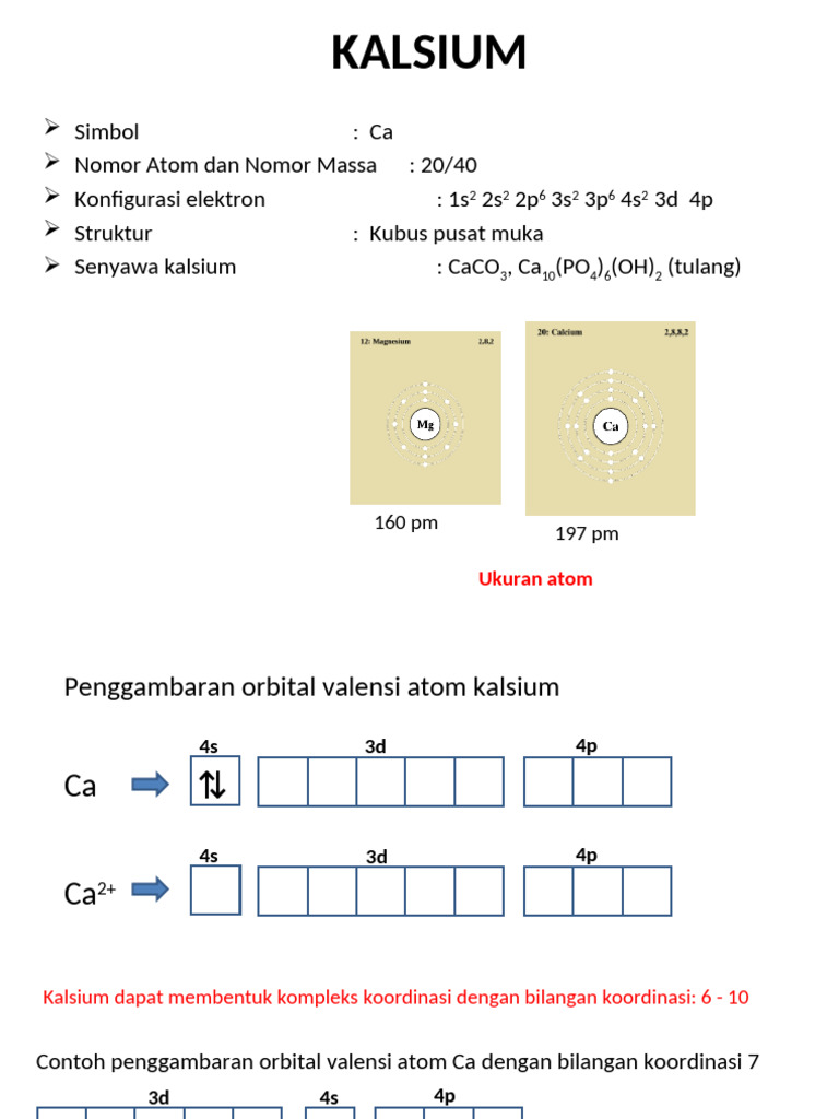 Kalsium dan Peran Calmodulin | PDF