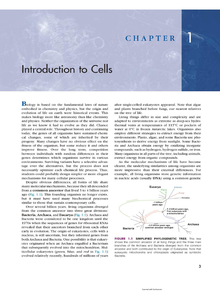 1st Chap Introduction To Cell | PDF