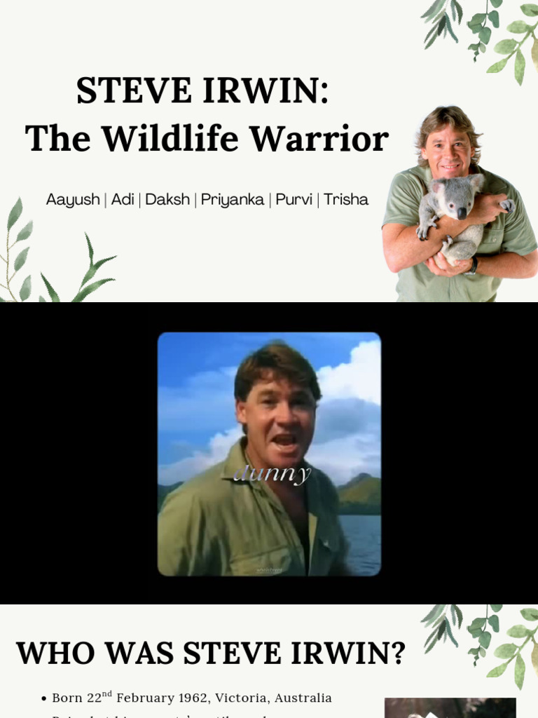 Steve Irwin: Legacy of a Wildlife Warrior | PDF