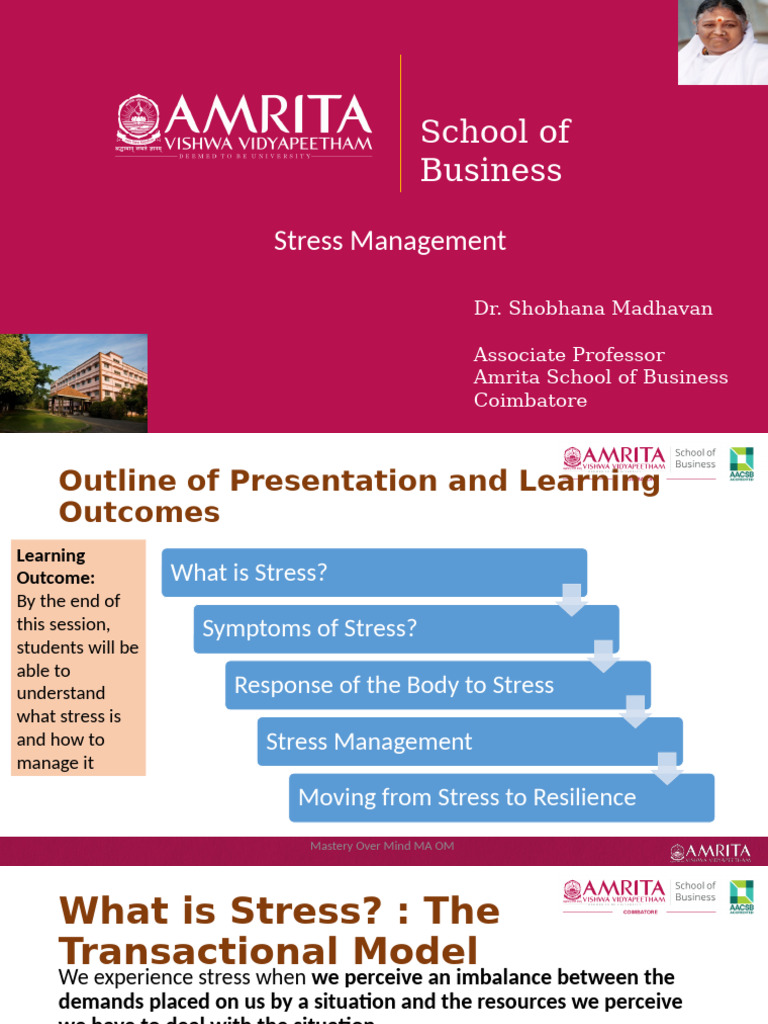 Stress Management Strategies Overview | PDF | Mind | Stress (Biology)