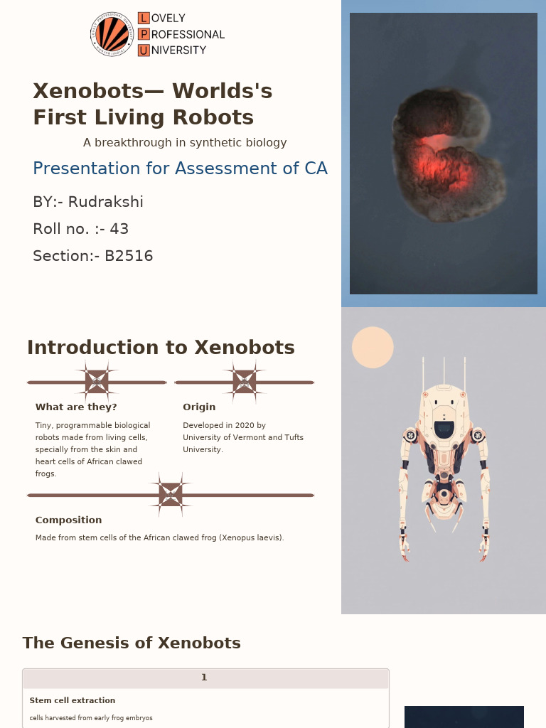 Xenobots: The First Living Robots | PDF | Life Sciences | Biotechnology