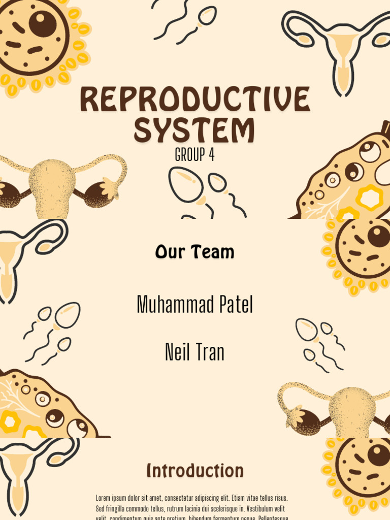 Cream and Brown Playful Reproductive System Group Project Presentation ...