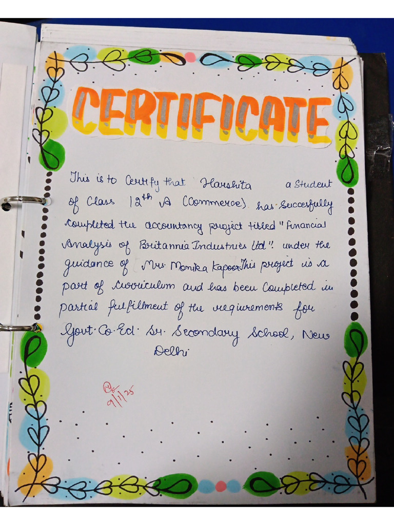 Accountancy Project | PDF