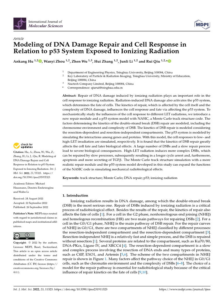 Modeling of DNA Damage Repair and Cell Response in | PDF | P53 | Dna Repair