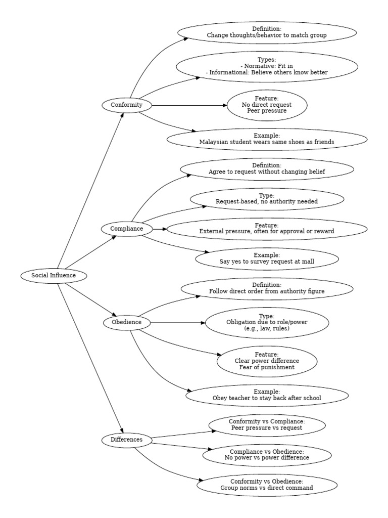 MindMap Social Influence | PDF