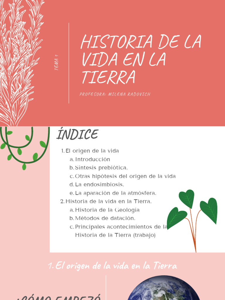 Historia y Origen de la Vida en la Tierra | PDF | Geología | Vida