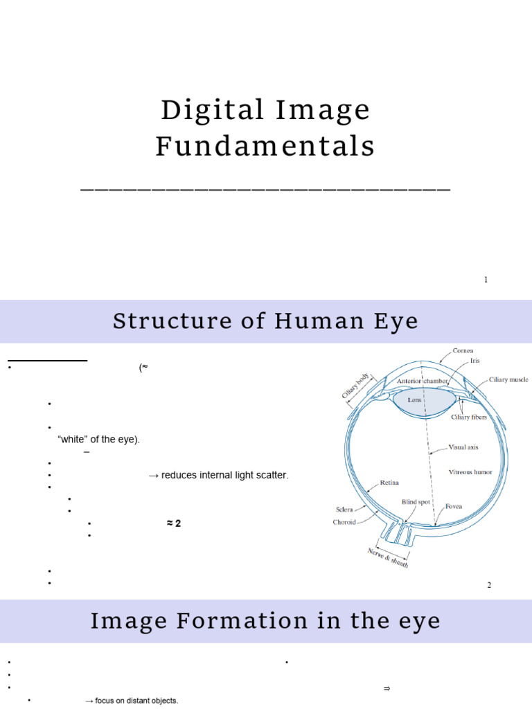 Human Eye Structure and Image Perception | PDF | Eye | Retina