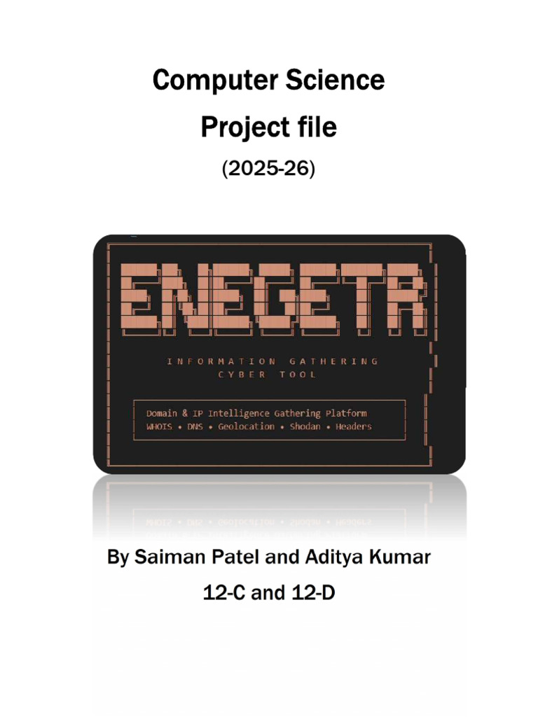 Computer Science Project File | PDF | Domain Name System | Ip Address