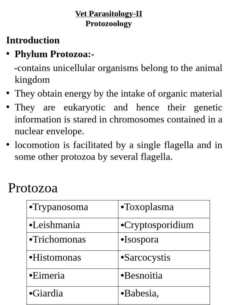 Vet Parasitology: Protozoa Overview | PDF