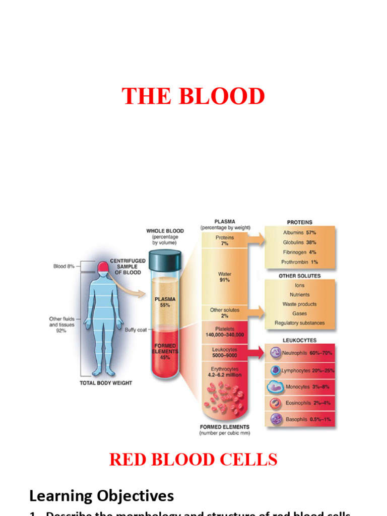 Red Blood Cells: Structure & Functions | PDF | Hemoglobin | Red Blood Cell