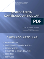 Clase III - Cartilago