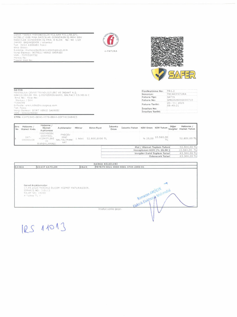 Irs 10113 Safer | PDF