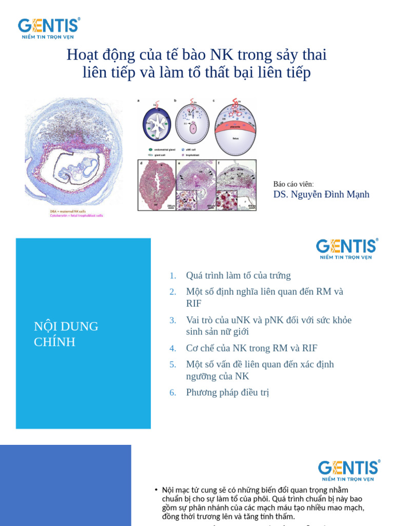 Slide Ve NK | PDF