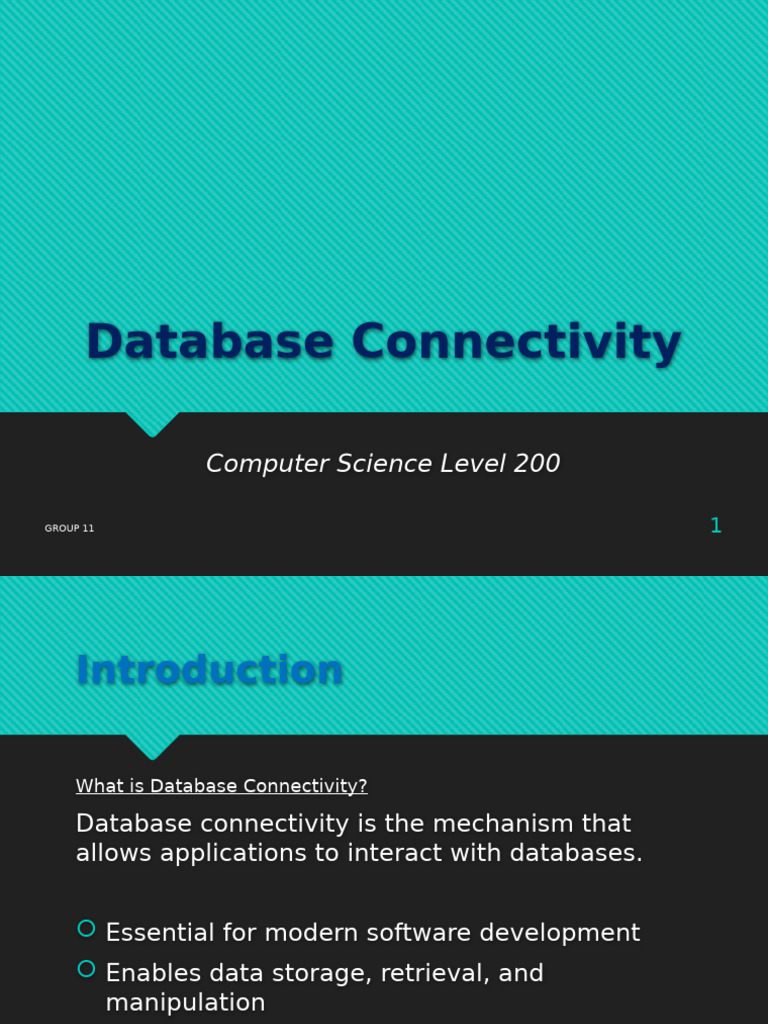 Database Connectivity Essentials Guide | PDF | Databases | Information ...