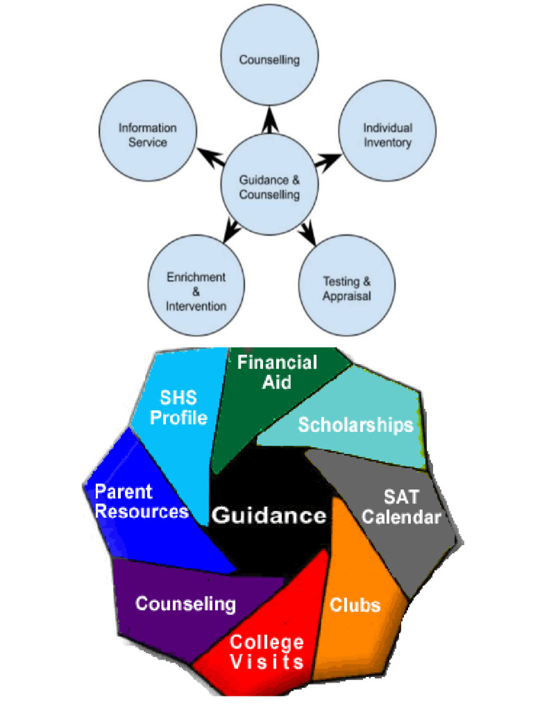 Guidance Programmes in Schools | PDF
