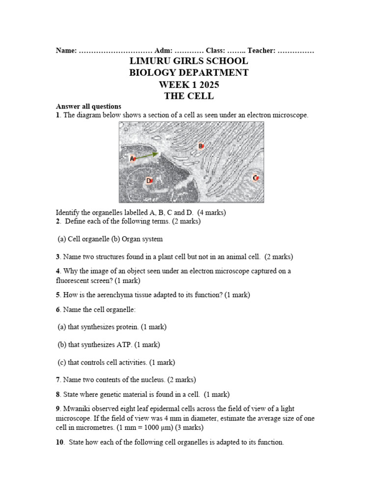 Biology Cell Structure and Physiology Quiz | PDF | Osmosis ...