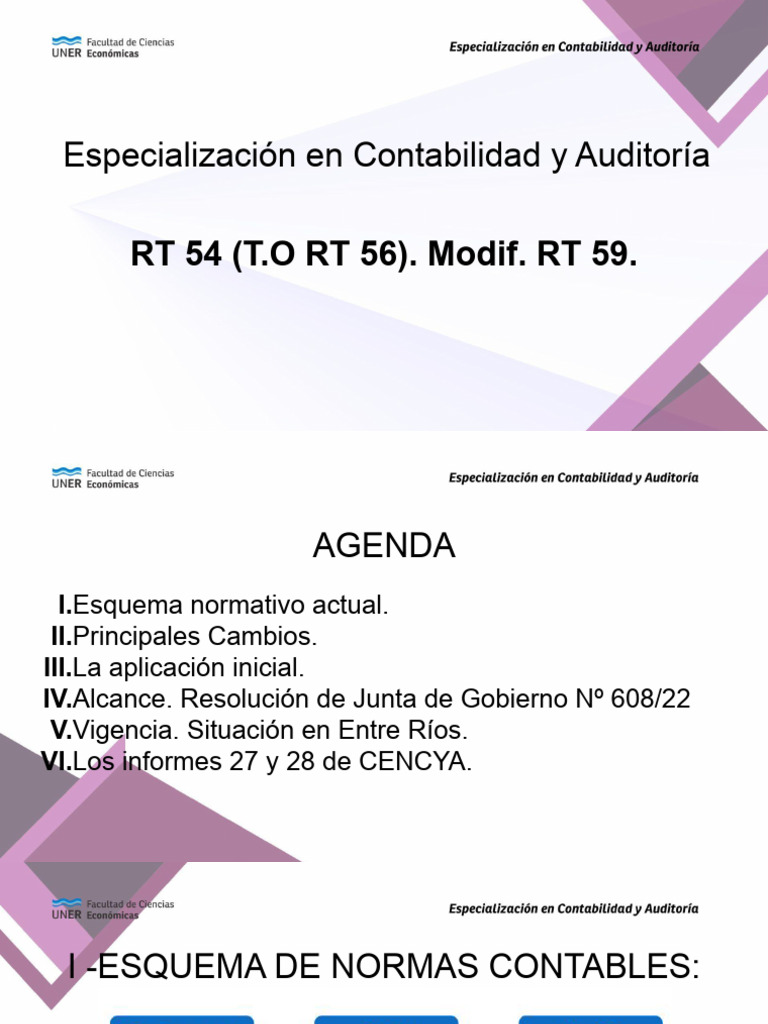 Especialización en Contabilidad y Auditoría RT 54 | PDF | Contabilidad ...
