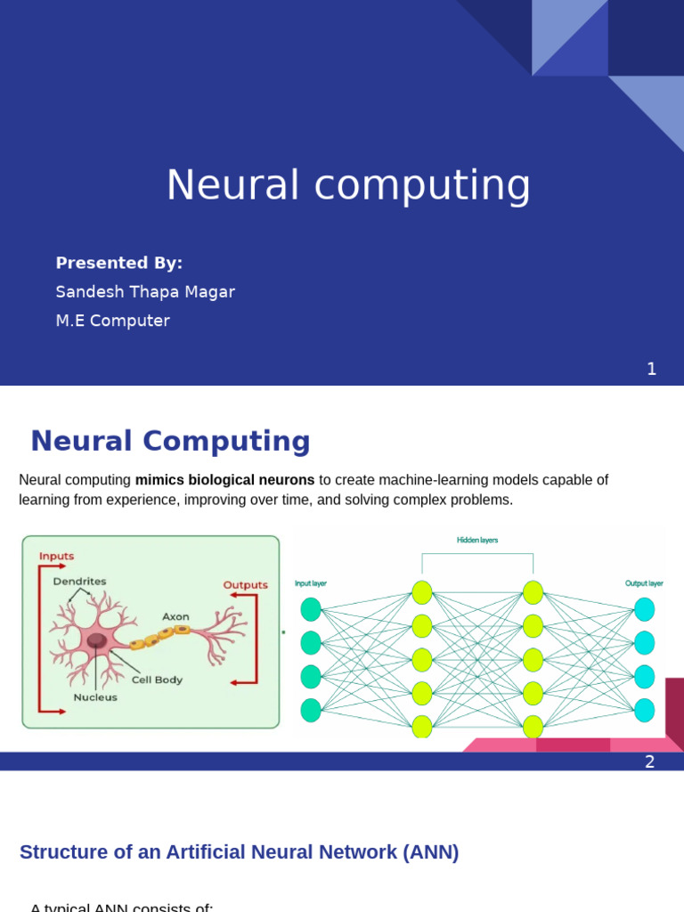 Neural Computing | PDF | Deep Learning | Computational Neuroscience