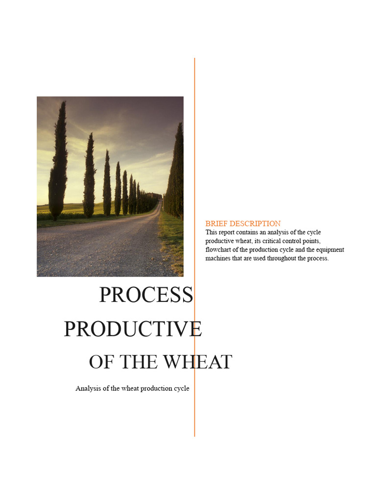 Wheat Production Processes | PDF | Flour | Cereals