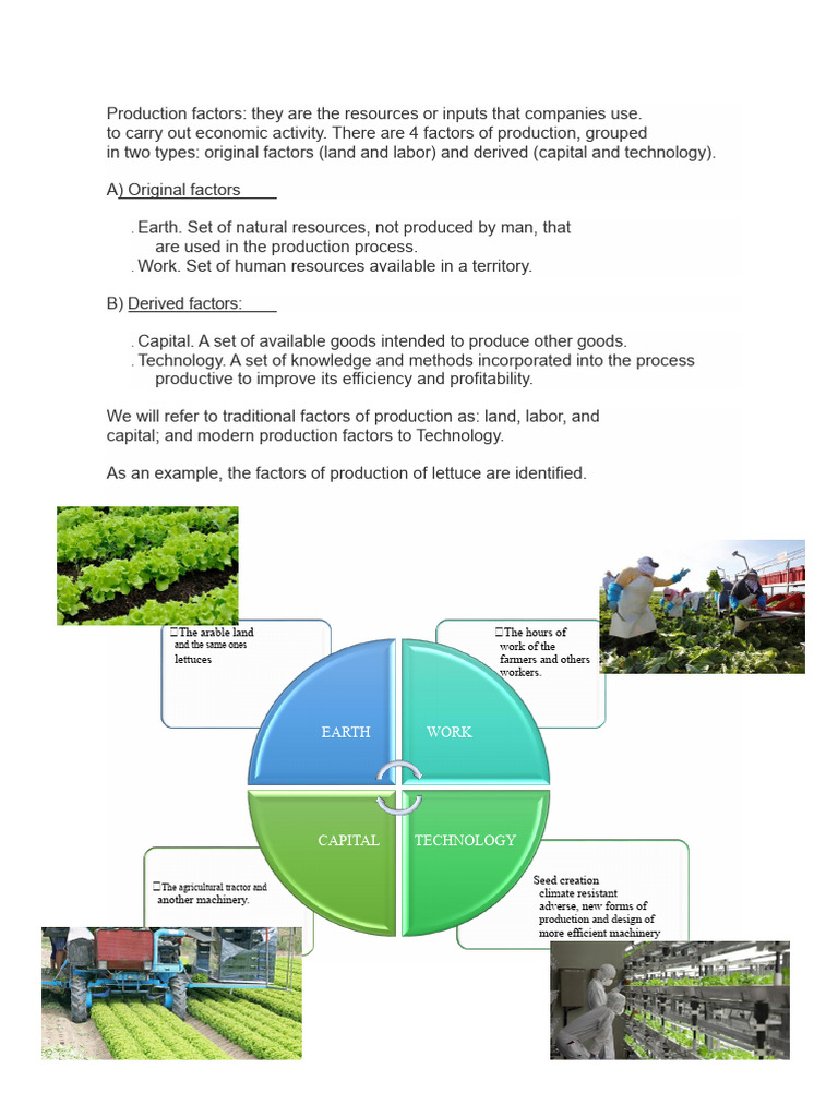 Understanding Factors of Production | PDF