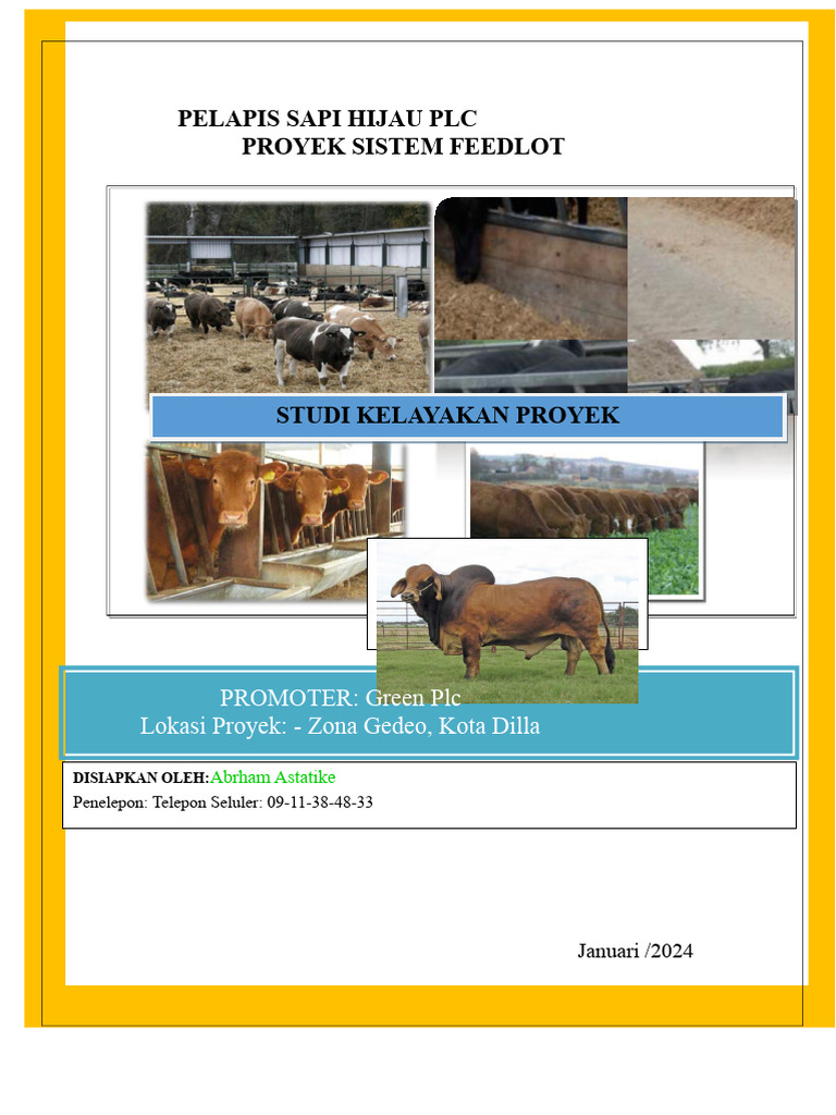 Studi Kelayakan Proyek Feedlot Sapi | PDF