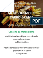 Metabolismo de Carboidratos - Rosiane Gomes Silva Oliveira