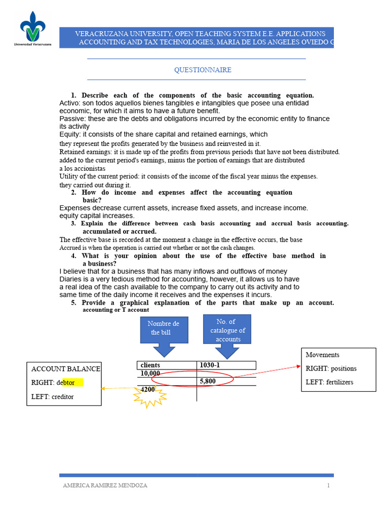 Accounting Basics and Principles Explained | PDF | Debits And Credits ...