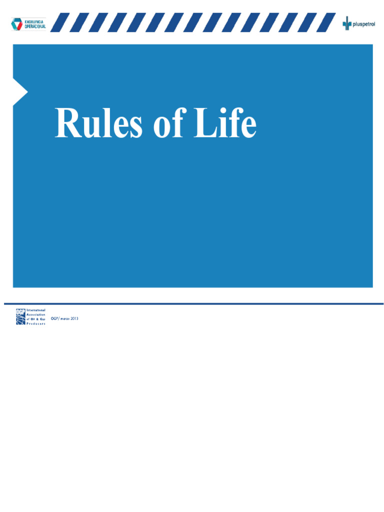 Life Rules Version 01 (Part 1) | PDF | Regulatory Compliance | Safety