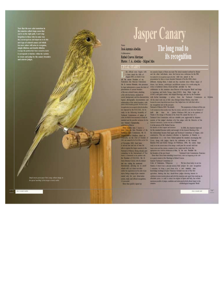 Jasper Canary Mutation Recognition Guide | PDF | Genetics | Biology