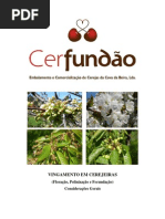 Cerfundao - 13