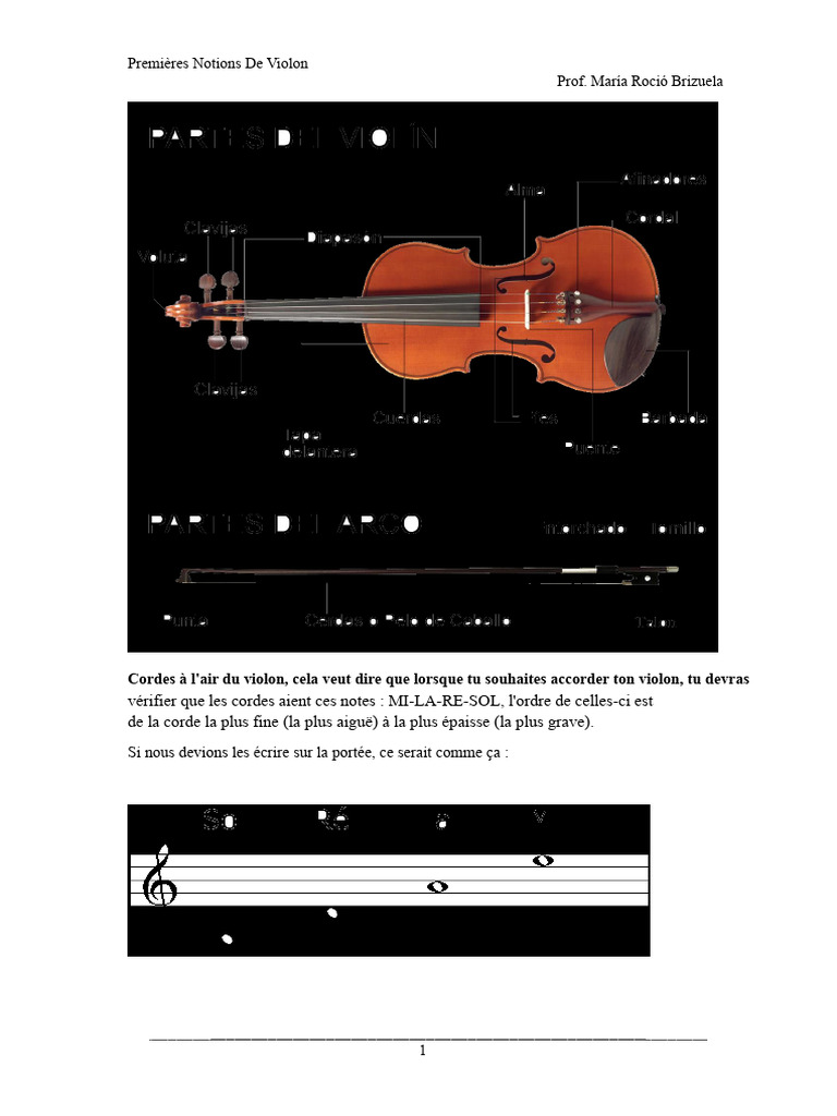 Initiation au Violon : Accords et Notes | PDF