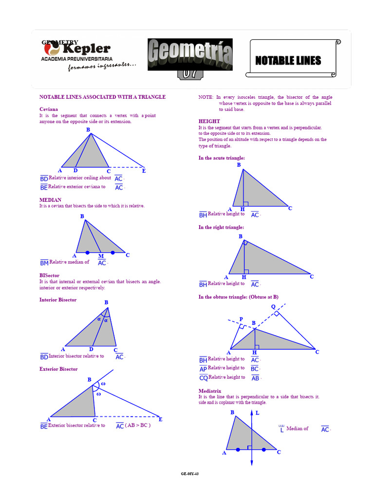 GE-08Y-43 (TP - Notable Lines) WB - L7 | PDF | Triangle | Triangle Geometry