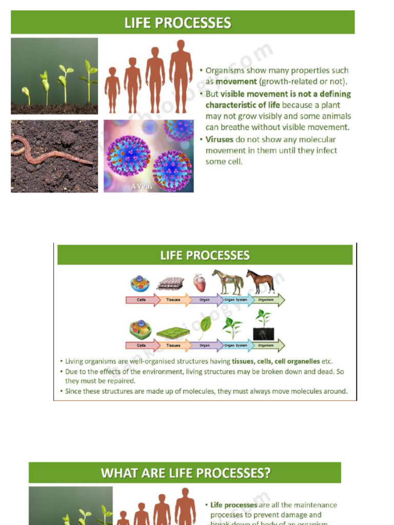 Life Process and Nutrition | PDF