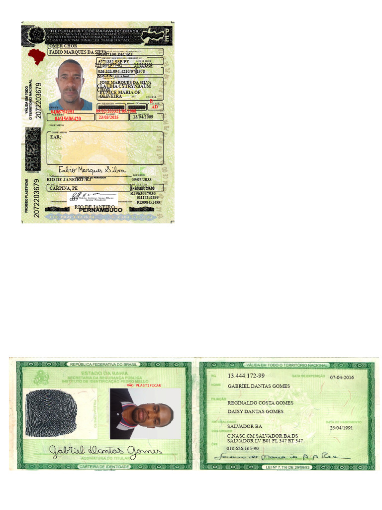 Identity Document Issuance Details | PDF